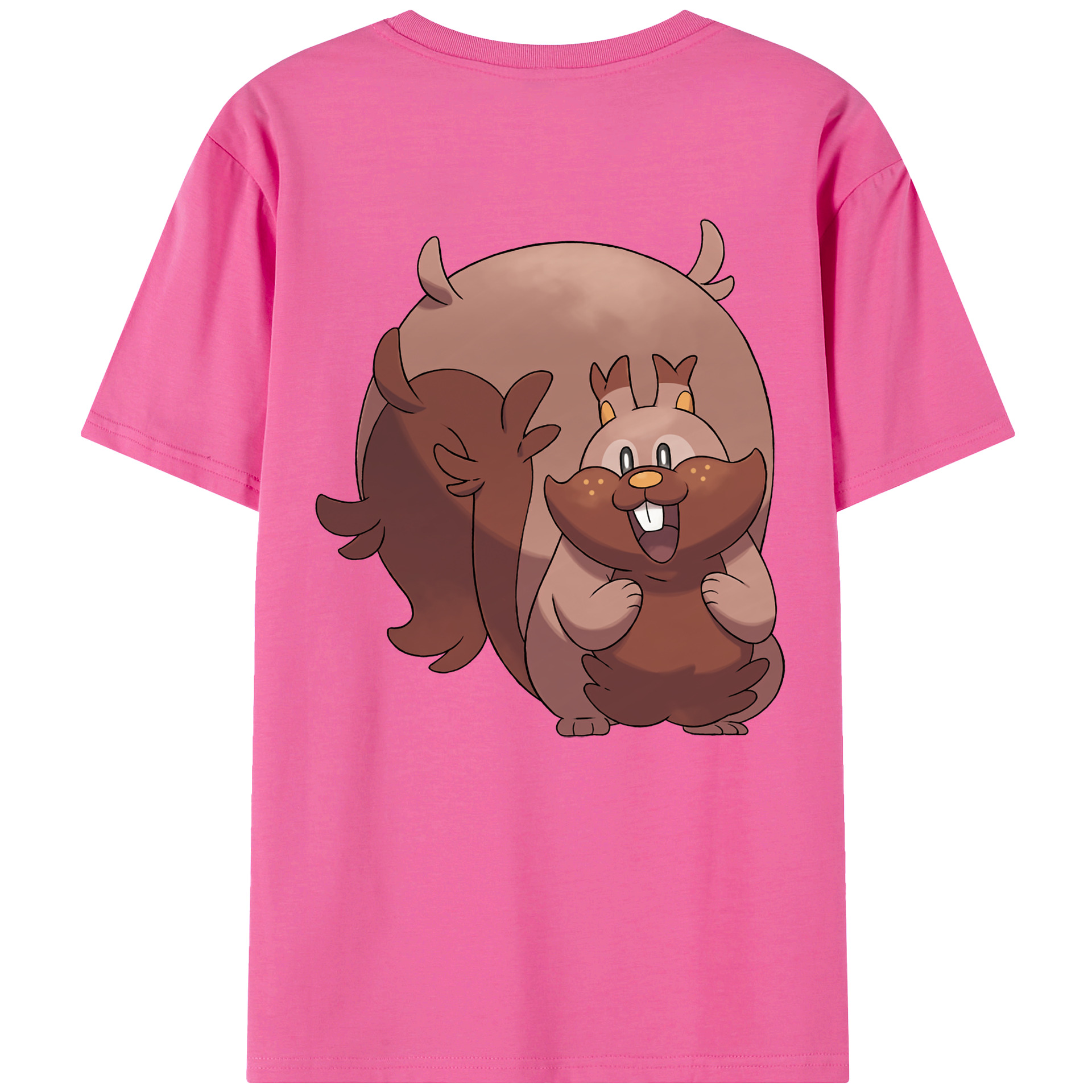 （画像用） ポケットモンスター Pokémon レディース半袖Tシャツ(バックプリント)